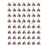 Marilyn Inchies 647